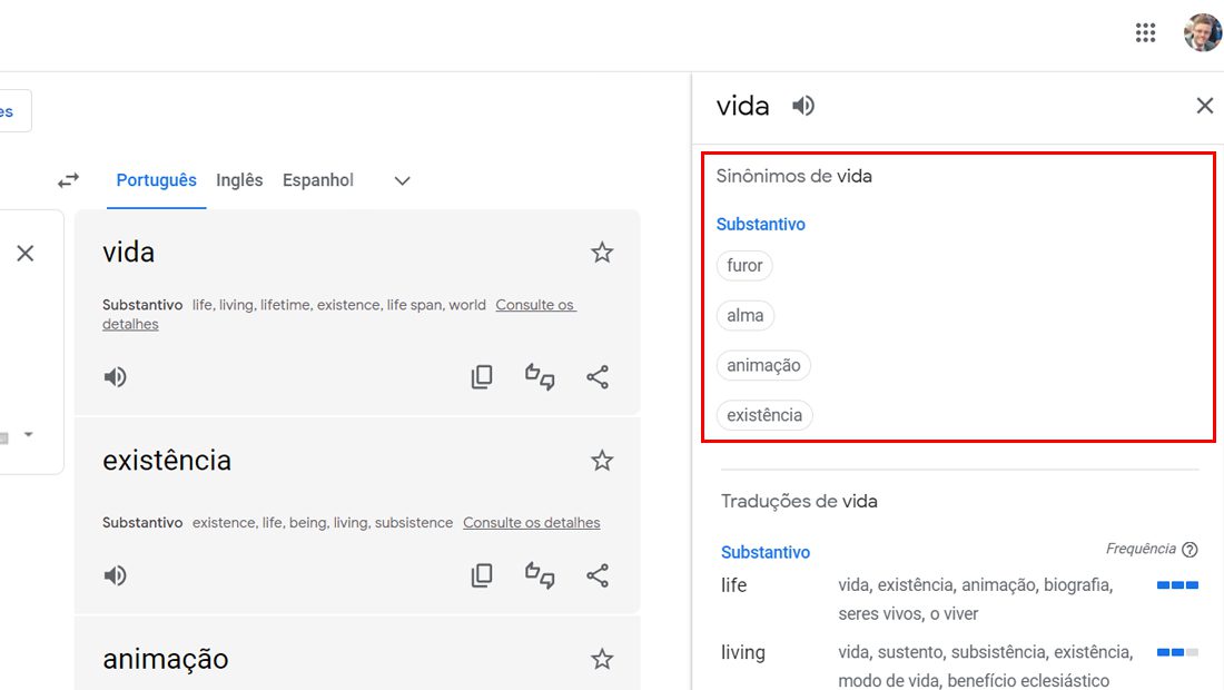 Como usar o Google Tradutor para estudos sinonimos
