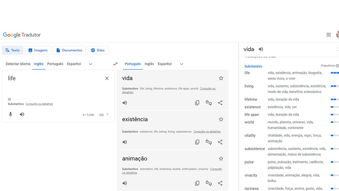 Como usar o Google Tradutor para estudos uso