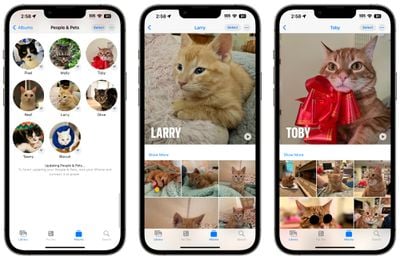 fotos de animais de estimação ios 17