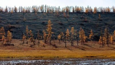 A palavra chave com base no artigo é "alterações nos rios da Terra".