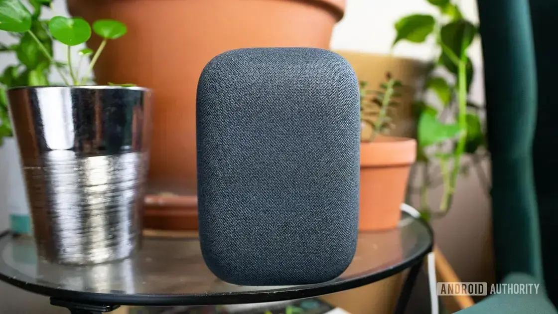 A palavra-chave com base no artigo é "Google Nest Audio".