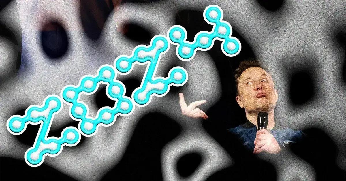 Elon Musk, Política