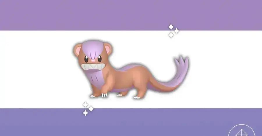Shiny Yungoos