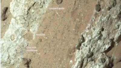 Nasa adota tom exagerado ao divulgar possíveis indícios de vida em Marte