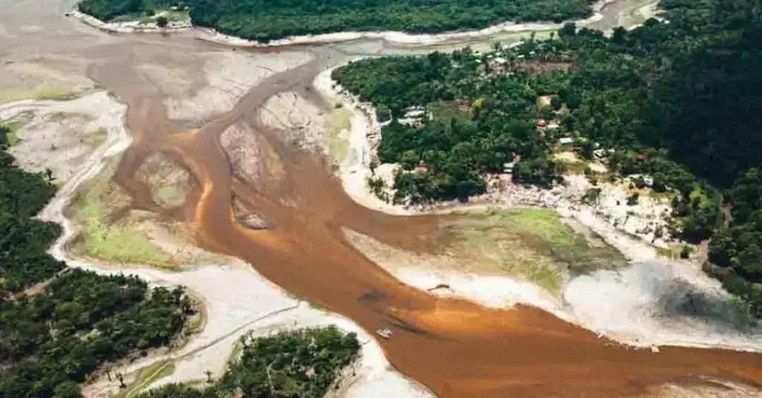 Desmatamento causa 75% da redução das chuvas na Amazônia, diz estudo