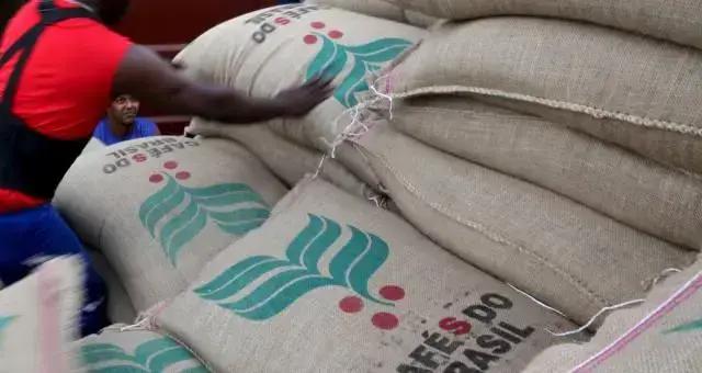 Exportação de café do Brasil cai 17,5% em agosto, mas receita cresce com preços altos; EUA perdem liderança