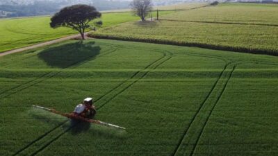 Receita do agronegócio brasileiro cresce 1,5% em agosto, aponta ministério