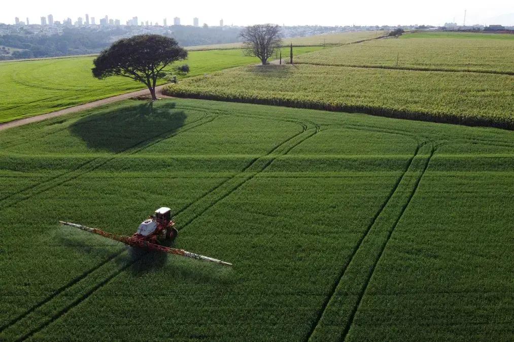Receita do agronegócio brasileiro cresce 1,5% em agosto, aponta ministério