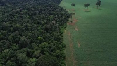 Fundos sustentáveis crescem 48% em ano de COP30, mas ainda são pouco representativos
