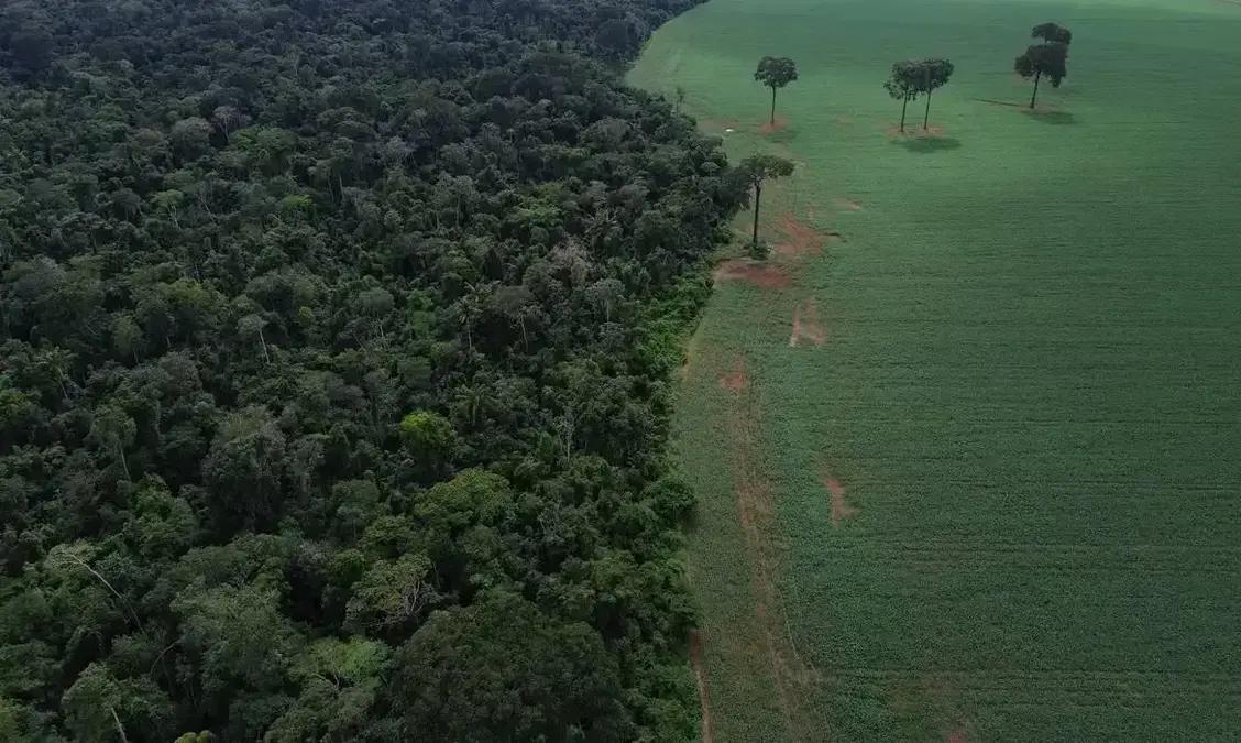 Fundos sustentáveis crescem 48% em ano de COP30, mas ainda são pouco representativos