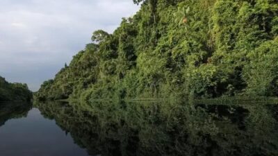 TCU identifica falhas na governança e gestão de risco climático no Brasil