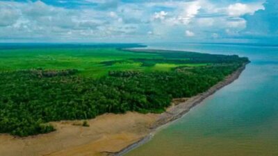 Novo sistema de inteligência artificial prevê risco de desmatamento na Amazônia