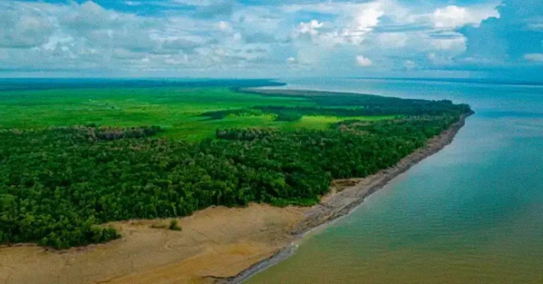 Novo sistema de inteligência artificial prevê risco de desmatamento na Amazônia