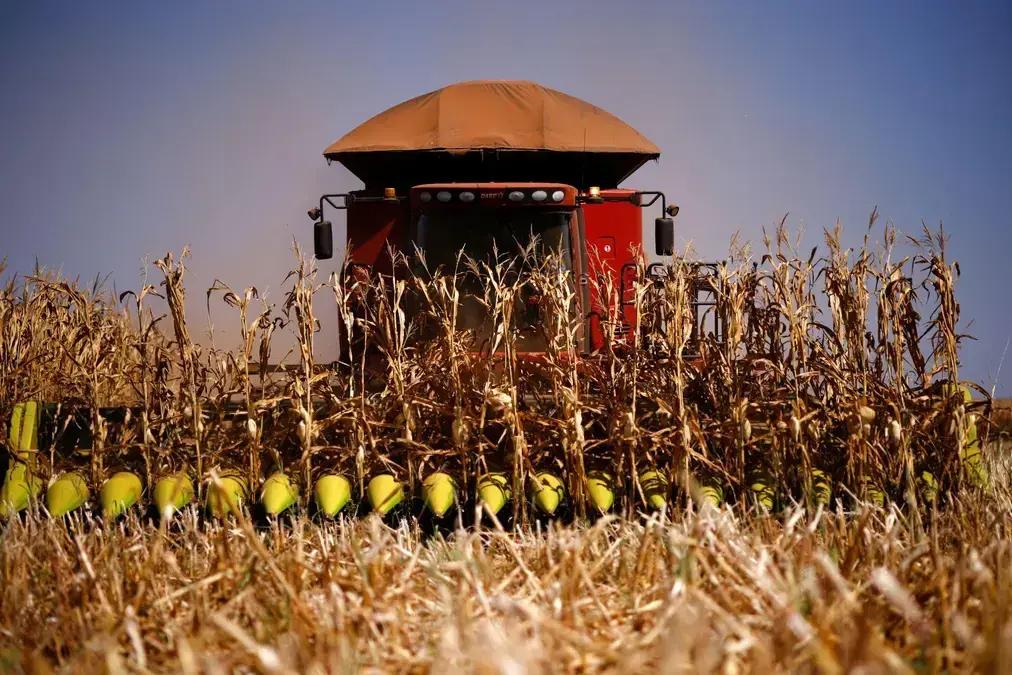 Produção agrícola brasileira registra queda de 3,9% em 2024, aponta IBGE
