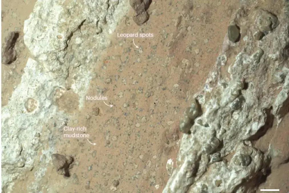 NASA identifica possíveis sinais de vida antiga em rochas de Marte