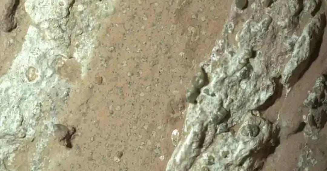 NASA identifica rocha com possível sinal de vida em Marte