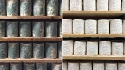 Descoberta de fungos evoluindo em tempo real após pedido de casamento em caverna
