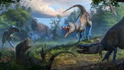 Nanotyrannus: uma espécie distinta e não um jovem T. rex, revela estudo