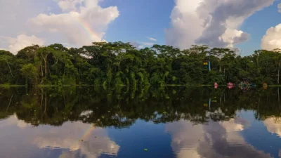 Ciência e inovação com raízes na Amazônia para um futuro sustentável