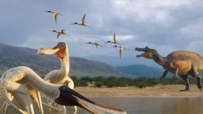 Descoberta inédita: fóssil de 110 milhões de anos revela nova espécie de pterossauro no Brasil