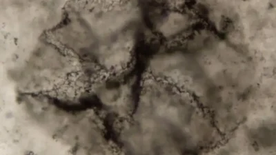Novo método identifica sinais antigos de vida em rochas terrestres