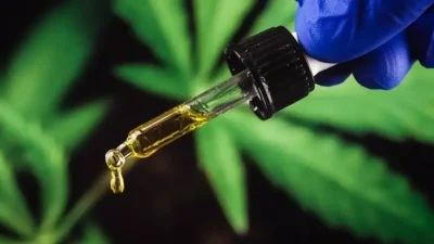 Microdoses de cannabis e Alzheimer: estudo revela efeitos do THC e CBD em idosos